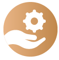 Dotzoo Development Process Development Process